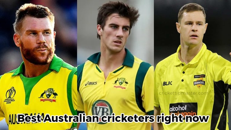 The top 5 Australian cricketers right now